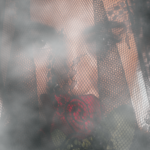 IMG_5073fog